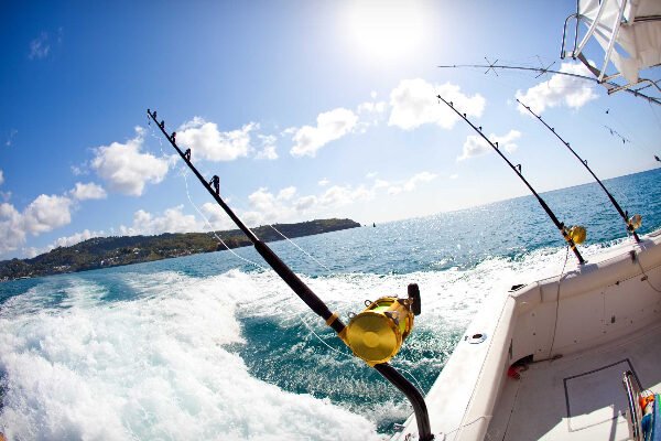 Deep Sea Half Day Fishing in Negril