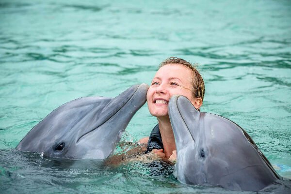 Dolphin Royal Swim and Beach Break  Ocho Rios