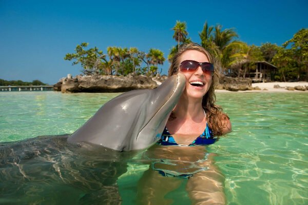 Dolphin Encounter & Dunns River Falls Experience