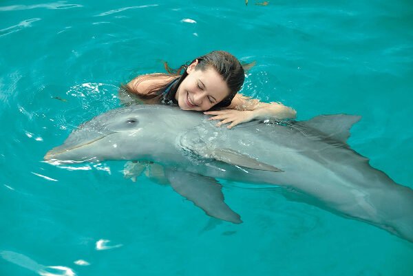 Dolphin Swim and Dunn’s River Falls Experience from Montego Bay