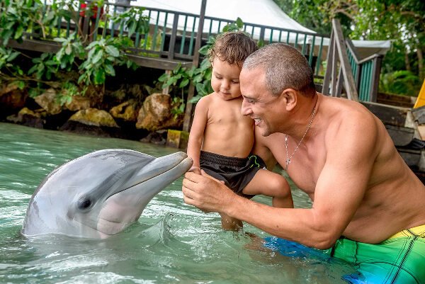 Dolphin Encounter & Dunn’s River Falls Experience from Montego Bay
