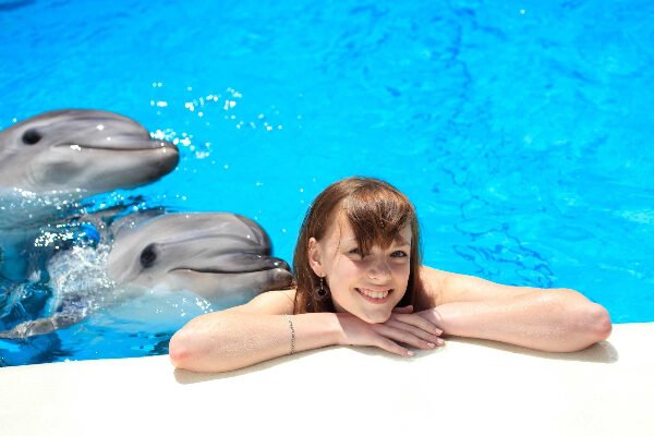 Dolphin Royal Swim Lucea