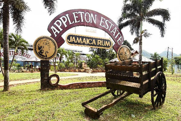 YS Falls & Appleton Estate Rum Tour from South Coast
